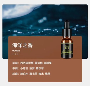 Car Aromatherapy Small Essential Oil Replenishment Car Perfume Lasting Light Fragrance Replenishment Car Aromatherapy Replenishment