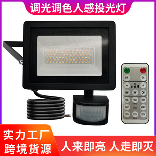 Cross-border new pir human body infrared induction remote control version adjustable light color mixing outdoor waterproof human sense floodlight