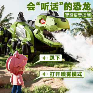 4DRC dinosaur remote control car-Y12 children remote control car eight-wheel spray voice control toy car boy birthday gift
