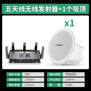 W1 Wall-Mounted Audio Wireless Bluetooth Speaker Shop Special Ceiling Conference Heavy Bass Restaurant Supermarket Commercial