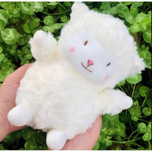 Summer stall toys Yiwu wholesale birthday gift wedding throw stall cloth stall cloth toy puppet children