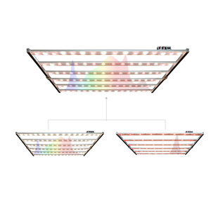 G80 Dual-Channel Adjustable Spectrum Horticultural Planting Lamp Multi-Far Red Light Medicinal Plant Tent Octopus Plant Lamp