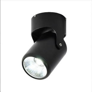 COB outdoor spotlight led plug-in rain-proof waterproof lawn lamp tree light monochrome colorful exterior wall projection lamp New