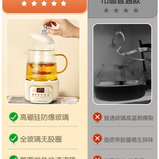 Mini Health Pot Household Multi-functional Office Small One-person Boiling Teapot Tea Boiling New Style Boiling Wholesale