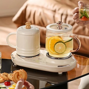 Dishes Small Kitchen Double Oven Health Pot Insulation High Borosilicate Glass Tea Boiling Health Pot Coffee Boiling Teapot