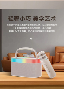 Cross-border Microphone Speaker One Bluetooth Audio Dual Microphone K-song Atmosphere Light Large Capacity Subwoofer Portable