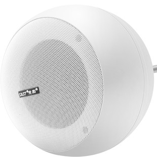 SAST S5-1 hanging ball audio hanging hanger ceiling ceiling speaker background music ceiling