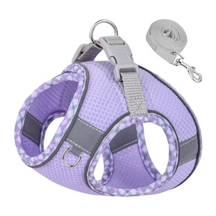 Cross-border Pet Products Pet Traction Rope Vest Teddy Bixiong Medium and Small Dog Chest Strap Cat Traction Rope