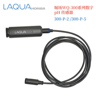 JaPan HORIBA Horifield WQ-300 Series Digital PH Sensor/sensing Box 300-P-2