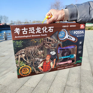 Children's Educational Science and Education toys archaeological excavation dinosaur fossil suit Boy's treasure digging tool gift box in stock wholesale