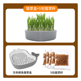 Cross-border Little Whale Cat Grass Box Wheat Grass Seed Soilless Hydroponic Potted Lazy Cat Snack Planting Plate Wholesale
