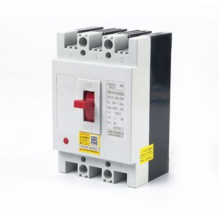 ShAnghAi BAi Li Air Switch DZ15-40A63A100A2P34P Molded CAse Circuit BreAker Air TrAnsPArent Circuit BreAker