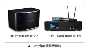 10-дюймовый 12-дюймовый KTV Audio Home KSong Sound Home Sound Set Sound Sound Sound Sound Circount