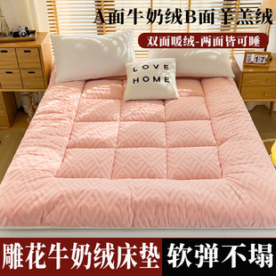 New Carved Milk Velvet Lamb Velvet Mattress Encrypted Thickened Double-sided Available Student Dormitory Cushion Rental Mat