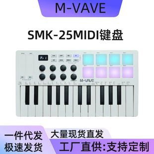 MIDI keyboard MIDI controller portable arranger keyboard RGB pad keyboard factory