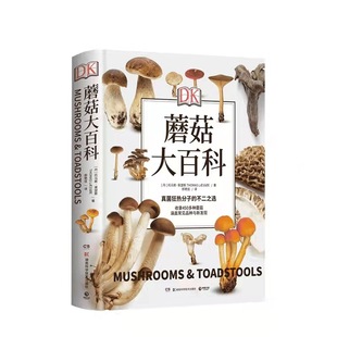 Printing Factory Children's Cognitive Book Printing Customized Learning Tool Book Hard Shell Colorful Hardcover Book Printing