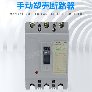 Chint Plastic DZ20Y-100/3 300 100A Fixed Protector Wiring Short Circuit Overload Molded Case Circuit Breaker