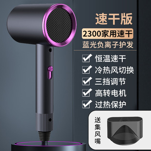 New Internet Celebrity Hair Dryer Household High Wind Hair Dryer Blue Light Negative Ion Hair Care Hair School