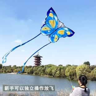 Weifang new fantasy butterfly kite children's adult easy to fly cartoon kite net red breeze factory wholesale direct sales