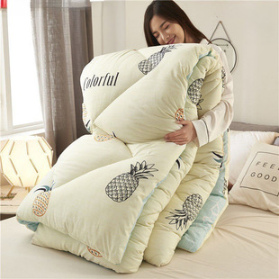 Quilt Thickened Winter Quilt Core Warm Four Seasons Universal Summer Single Student Dormitory Spring and Autumn Quilt Heart Air Conditioning Summer