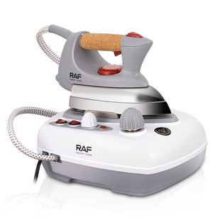 RAF European standard cross-border pressure steam electric iron hanging bottle type large household ironing machine high-power iron