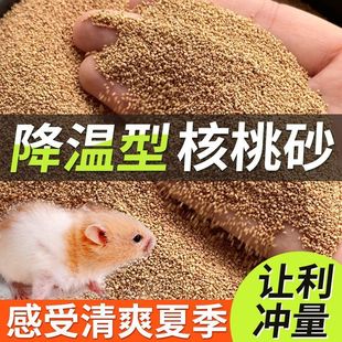 Cooling Essential Hamster Special Summer Deodorant Pad Natural Walnut Sand Sawdust Supplies Golden Bear Toilet Urine Sand
