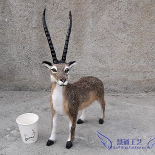 Simulation animal antelope animal BJD doll photography props photo background sheep gift gift gift