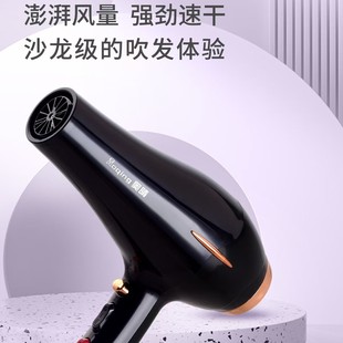 Aoqing национальный стандарт Фен 2200W Сильная скорость ветра Сухие волосы Высокая мощность фен постоянная температура волос салон волос Специальный 892