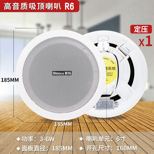 Xinke coaxial ceiling wall hanging ball horn outdoor waterproof sound column speaker constant pressure power amplifier broadcast background music