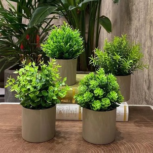 Simulation Flower Ornaments Simulation Bonsai Small Potted Plant Mini Desktop Ornaments Living Room Wine Cabinet Decoration TV Cabinet Decoration
