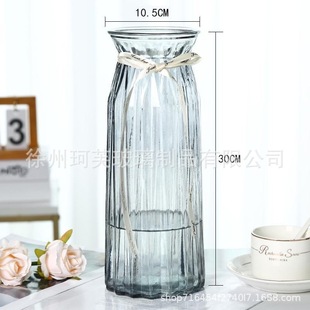 Ins Nordic Transparent Glass Vase Hydroponic Green Flower Plant Dried Flower Vase for Living Room Decorative Ornaments