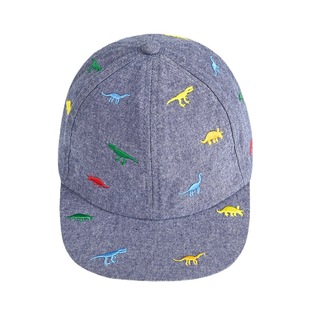 Cross-border male treasure cap cartoon baseball cap small dinosaur sun hat embroidered sun hat spring summer autumn hat sunscreen hat