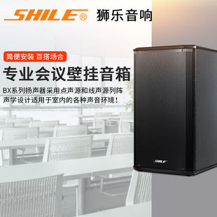 Lion Conference Room Wall-Mounted Audio Amplifier Microphone Training Set Three-Zone Bluetooth Amplifier Speaker