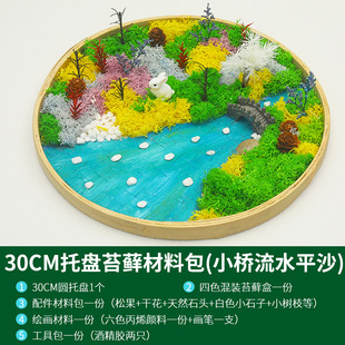 Bamboo permanent Moss painting DIY micro landscape animal and plant Creative Disc painting material package green plant photo frame three-dimensional pendulum
