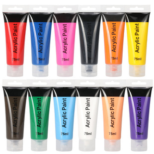 Cross-border acrylic pigment suit 24-color 75ml art painting graffiti color box wall painting diy stone painting