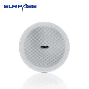 SURPASS source factory direct high quality full frequency speaker active wireless ceiling Bluetooth speaker Wireless