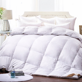 Five-star hotel quilt core duvet manufacturer 90 white goose down thick winter duvet wholesale goose down quilt customization