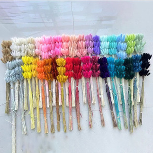 Cross-border hot sale rabbit tail grass dried flower bouquet home decoration flower arrangement ornaments dog tail grass dried flower rabbit tail grass wholesale