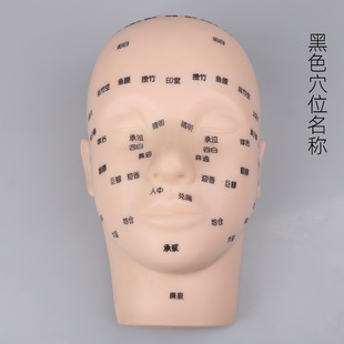 Beauty practice head model facial acupuncture point model beauty practice head model special for beauty