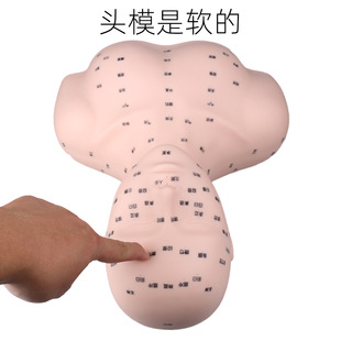 Beauty salon practice model whole body acupuncture point model head skin management head model with shoulder beauty Special
