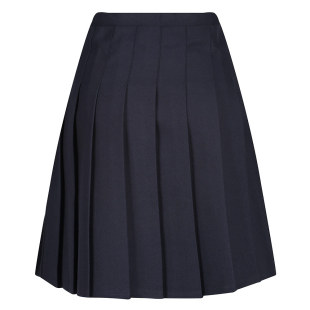 Spring and autumn new foreign school uniform custom manufacturers wholesale student skirt academic style high waist half skirt pleated skirt