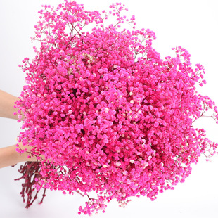Yongsheng Starry Sky dried flower bouquet Yunnan Yongsheng flower base straight hair real flower Flower natural air-dried starry sky