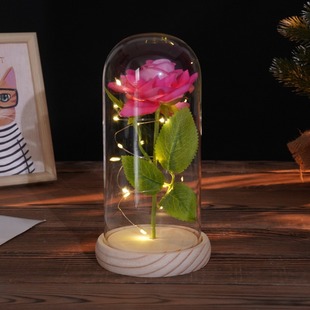 Glass Cover Simulation Rose Decoration Creative Mother Valentine's Day Gift Eternal Flower Night Light Cross-border Wholesale