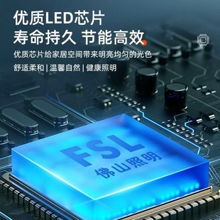 FSL Foshan Lighting Светодиодный светильник встроенный небесный светильник отверстие светильник гостиная коридор
