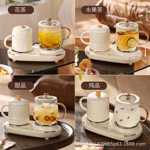 Factory Multi-functional Office Kettle Household Small Glass Decocting Medicine Pot Health Pot Tea Small Household Appliances Gift