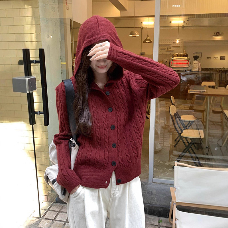 Hooded Long-Sleeved Knitted Cardigan Jacket for Women, New Design for Autumn and Winter, Slimming Red Elegant Versatile Top