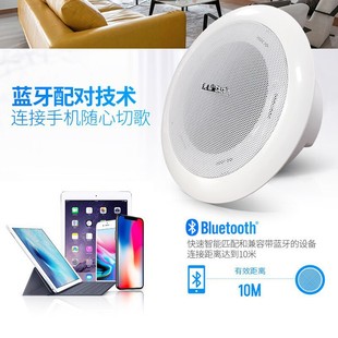 Schenko S1-5 ceiling ceiling broadcast ceiling wall-mounted horn coaxial ball waterproof outdoor sound column ceiling speaker embedded