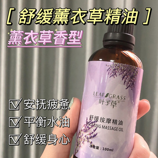 Leaf grass rose essential oil fever scraping back body SPA body massage essential oil source in stock generation hair