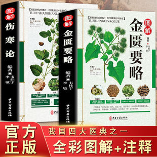 Genuine Treatise on Febrile Diseases Synopsis of the Golden Chamber Illustrated Traditional Chinese Medicine Classics Self-study Introduction to Ancient Medical Books Basic Theoretical Knowledge