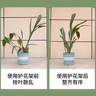 Iron Flower Support Frame Leaf Protection Frame Money Tree Support Rod Flower Vine Climbing Plant Lodging-proof Semi-circular Fixed Frame
